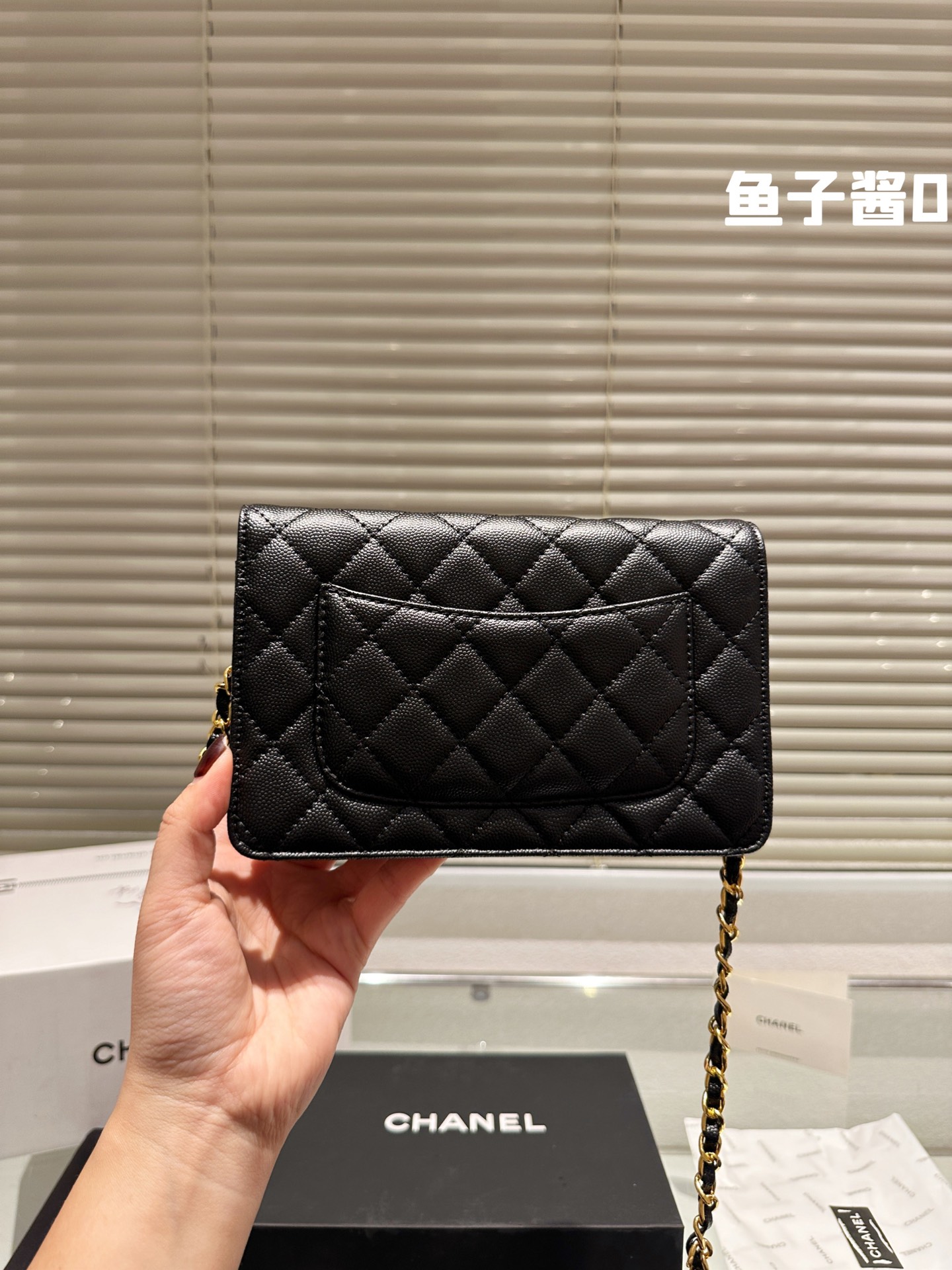 Chanel Classic lambskin woc bag 133831