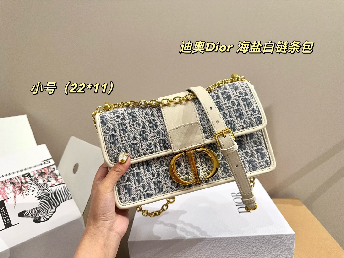 Dior oblique handbag 135883