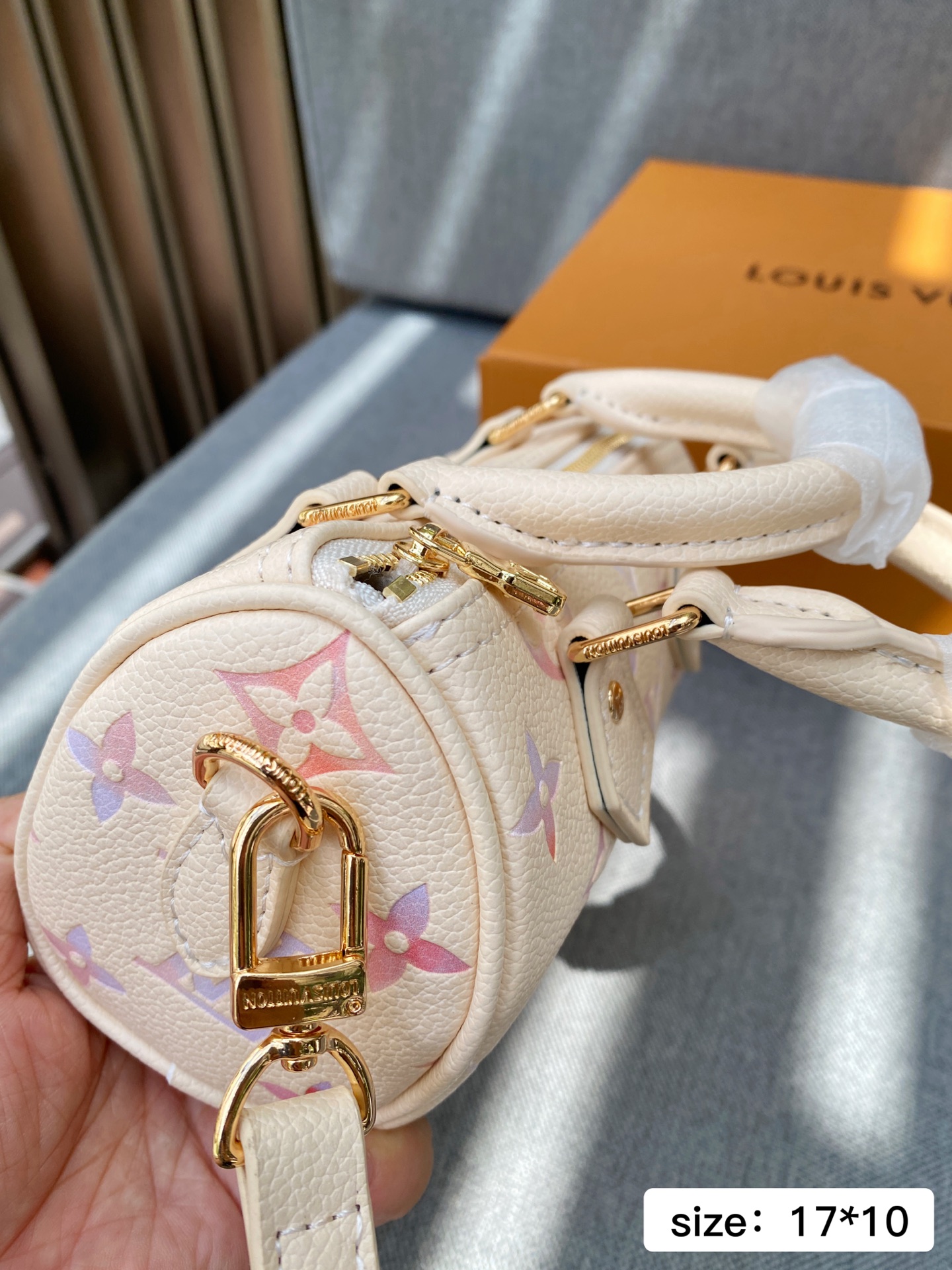 LV Louis vuitton Speedy handbag 138973