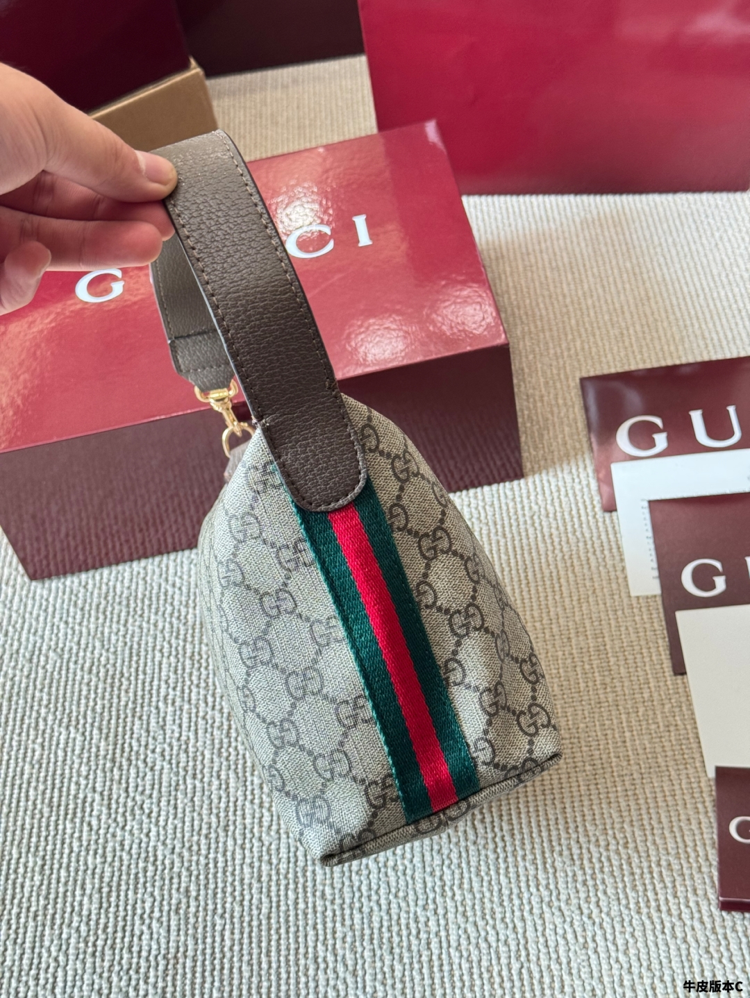 Gucci Ophidia bag 139066